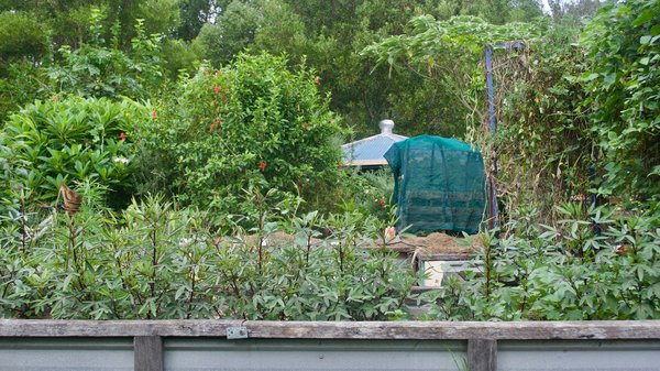 Quelle est la meilleure méthode pour créer un jardin en permaculture dans un espace restreint ?